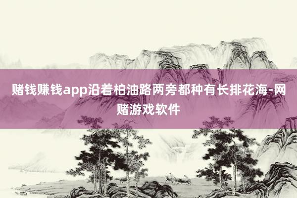 赌钱赚钱app沿着柏油路两旁都种有长排花海-网赌游戏软件