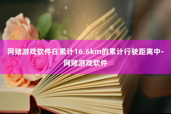 网赌游戏软件在累计16.6km的累计行驶距离中-网赌游戏软件