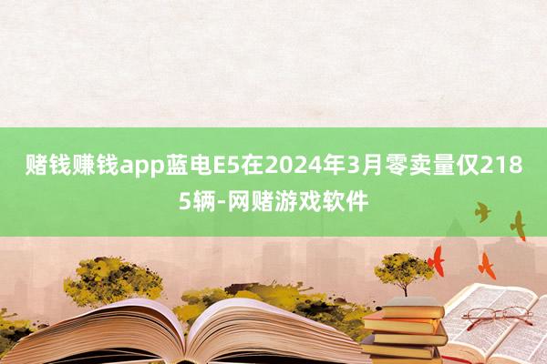 赌钱赚钱app蓝电E5在2024年3月零卖量仅2185辆-网赌游戏软件