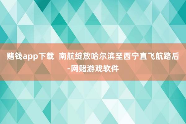 赌钱app下载  南航绽放哈尔滨至西宁直飞航路后-网赌游戏软件