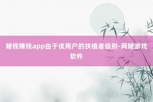 赌钱赚钱app由于该用户的扶植者级别-网赌游戏软件