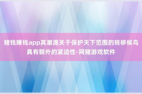 赌钱赚钱app其潮滩关于保护天下范围的转移候鸟具有额外的紧迫性-网赌游戏软件