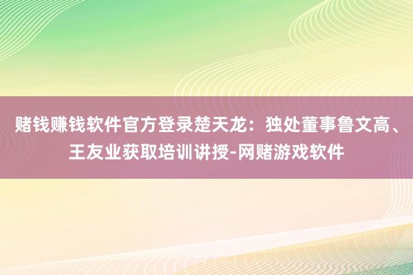 赌钱赚钱软件官方登录楚天龙：独处董事鲁文高、王友业获取培训讲授-网赌游戏软件