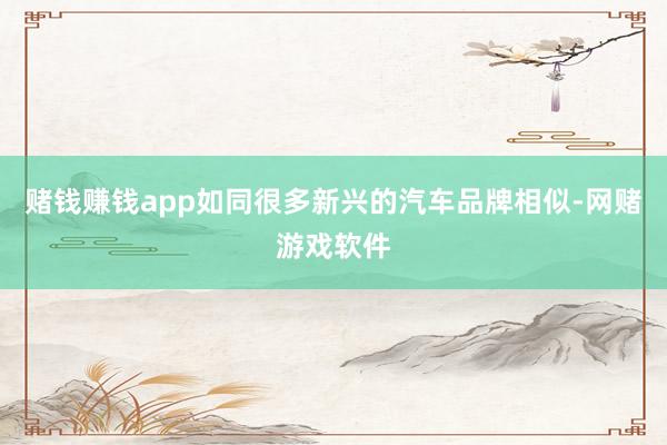 赌钱赚钱app如同很多新兴的汽车品牌相似-网赌游戏软件