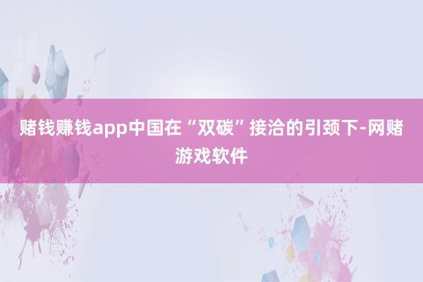 赌钱赚钱app中国在“双碳”接洽的引颈下-网赌游戏软件