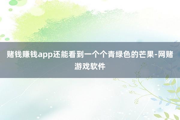 赌钱赚钱app还能看到一个个青绿色的芒果-网赌游戏软件